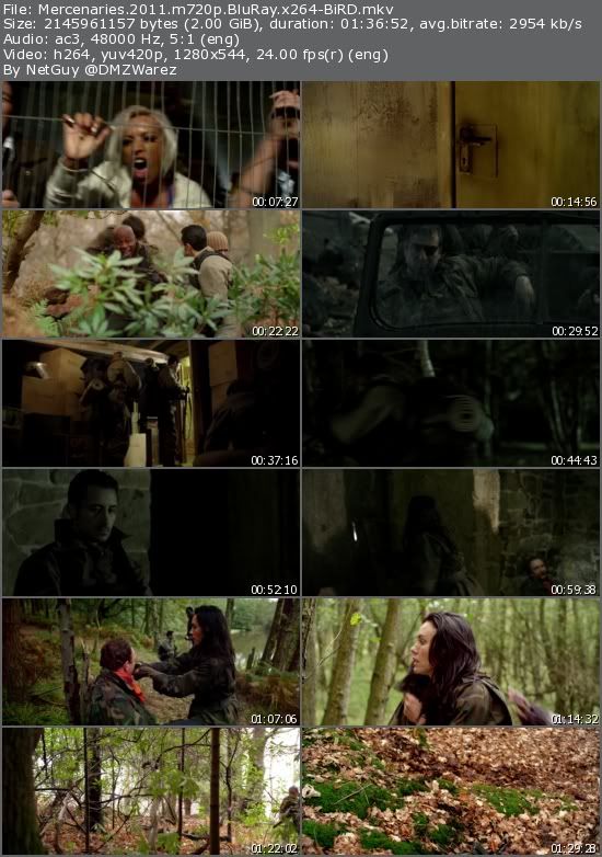 Mercenaries (2011) m720p BluRay x264-BiRD Mercenaries (2011) m720p BluRay x264-BiRD
