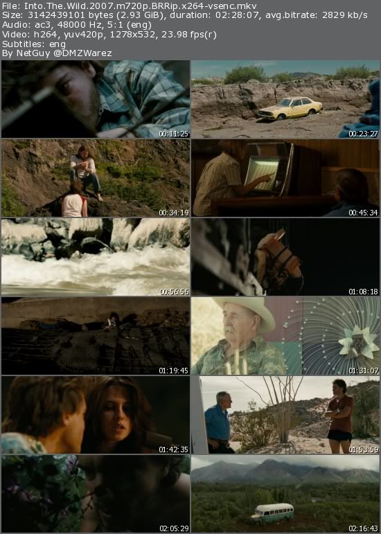 Into The Wild (2007) m720p BRRip x264-vsenc Into The Wild (2007) m720p BRRip x264-vsenc