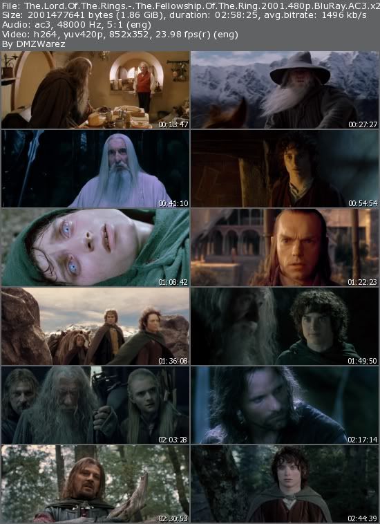 The Lord Of The Rings: The Fellowship Of The Ring (2001) 480p BluRay AC3 x264-Metka