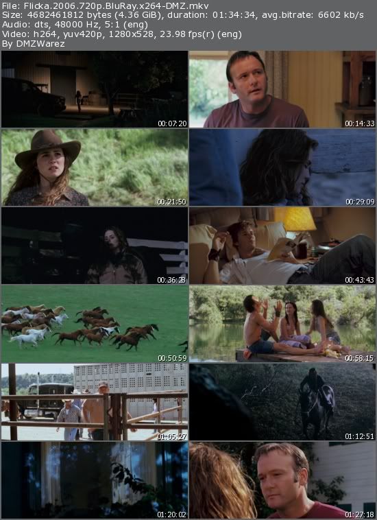 Flicka (2006) 720p BluRay x264-DMZ (ReUpload) Flicka (2006) 720p BluRay x264-DMZ (ReUpload)