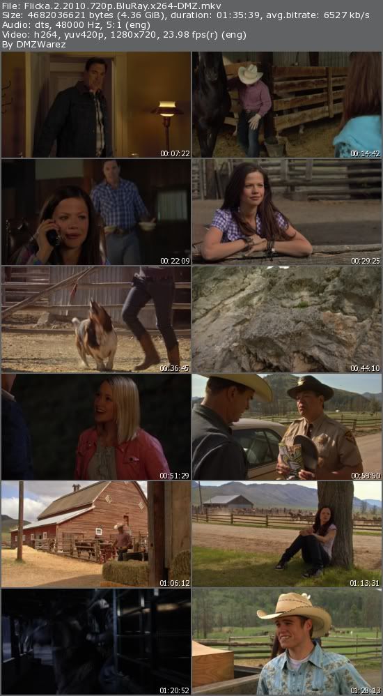 Flicka 2 (2010) 720p BluRay x264-DMZ Flicka 2 (2010) 720p BluRay x264-DMZ