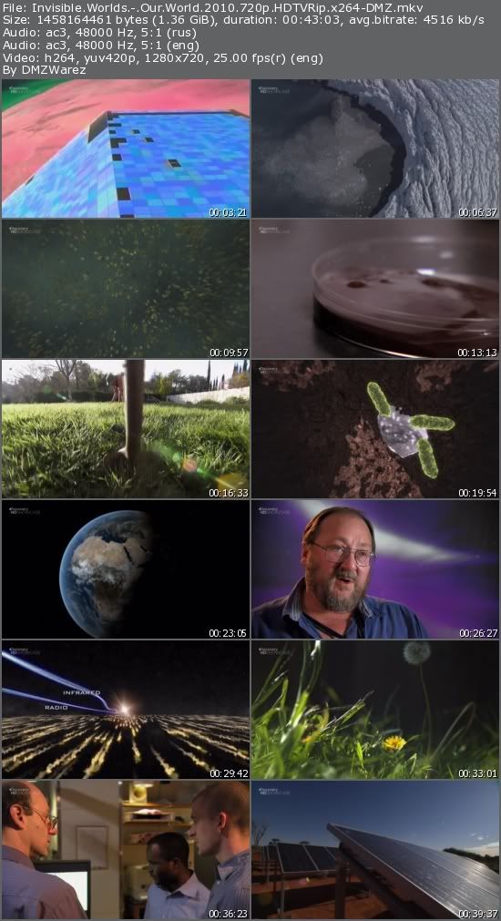 Invisible Worlds - Our World (2010) 720p HDTVRip x264-DMZ Invisible Worlds - Our World (2010) 720p HDTVRip x264-DMZ