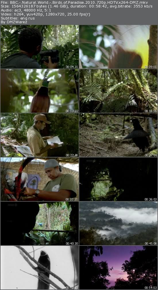 BBC - Natural World: Birds of Paradise (2010) 720p HDTV x264-DMZ BBC - Natural World: Birds of Paradise (2010) 720p HDTV x264-DMZ