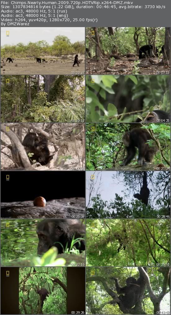 Chimps Nearly Human (2009) 720p HDTVRip x264-DMZ Chimps Nearly Human (2009) 720p HDTVRip x264-DMZ