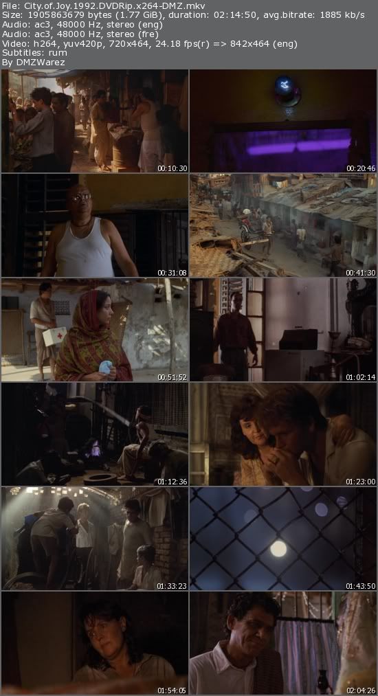 City of Joy (1992) DVDRip x264-DMZ City of Joy (1992) DVDRip x264-DMZ