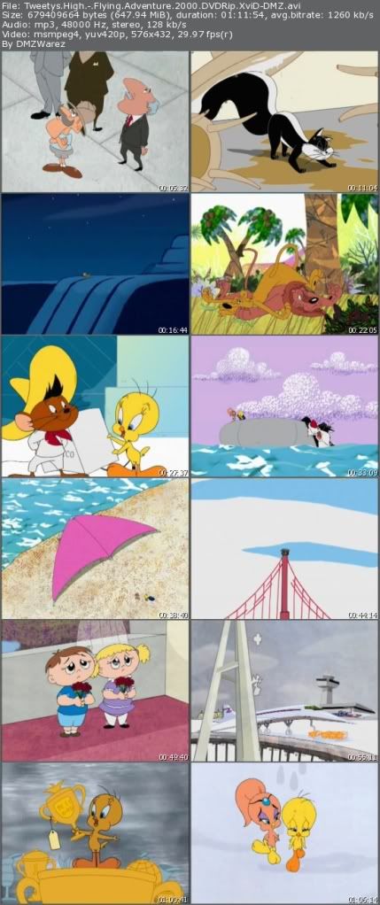 Tweetys High-Flying Adventure (2000) DVDRip XviD-DMZ Tweetys High-Flying Adventure (2000) DVDRip XviD-DMZ