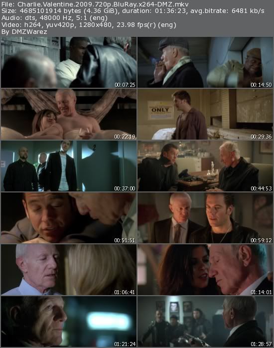 Charlie Valentine (2009) 720p BluRay x264-DMZ Charlie Valentine (2009) 720p BluRay x264-DMZ