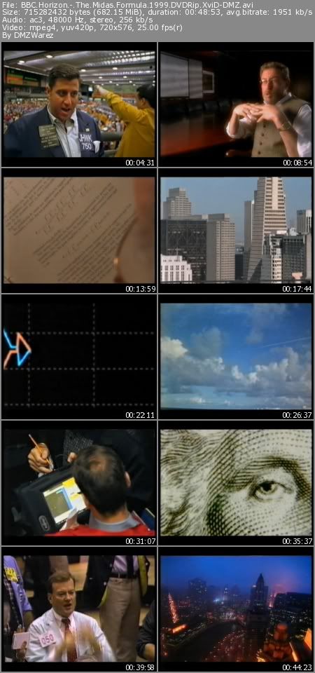 BBC Horizon - The Midas Formula (1999) DVDRip XviD-DMZ BBC Horizon - The Midas Formula (1999) DVDRip XviD-DMZ