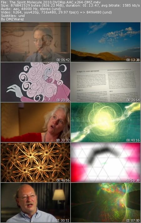 The Spirit Molecule (2010) DVDRip AAC x264-DMZ The Spirit Molecule (2010) DVDRip AAC x264-DMZ