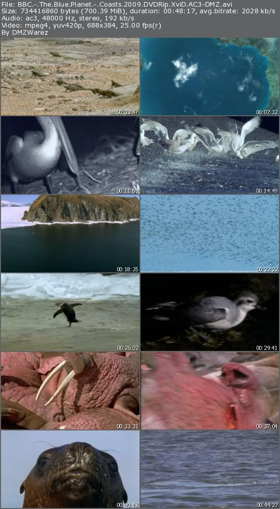 BBC - The Blue Planet - Coasts (2009) DVDRip XviD AC3-DMZ BBC - The Blue Planet - Coasts (2009) DVDRip XviD AC3-DMZ