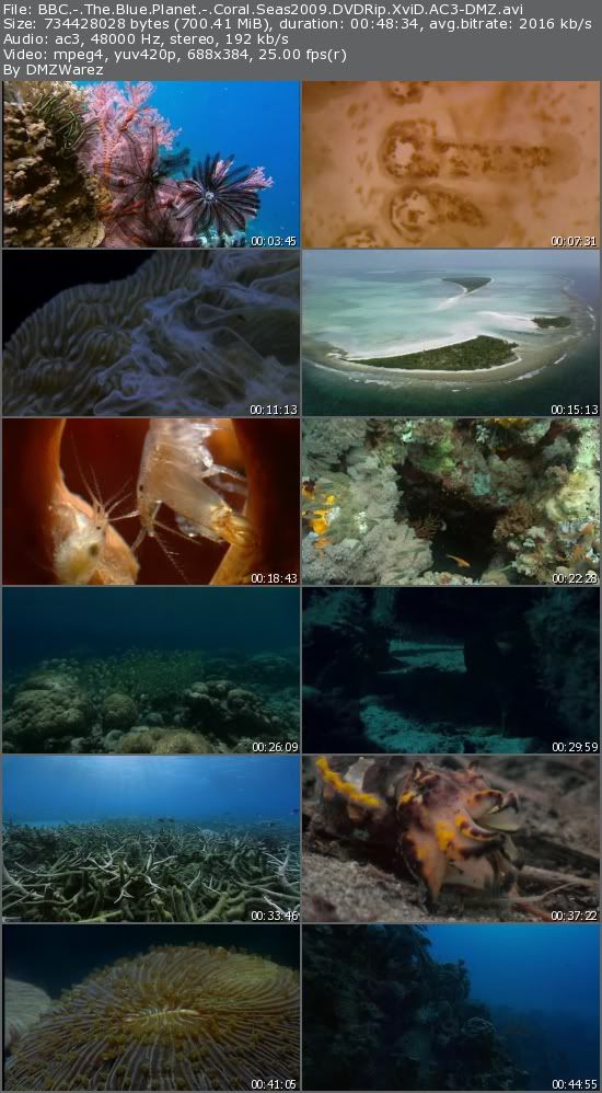 BBC - The Blue Planet - Coral Seas(2009) DVDRip XviD AC3-DMZ BBC - The Blue Planet - Coral Seas(2009) DVDRip XviD AC3-DMZ