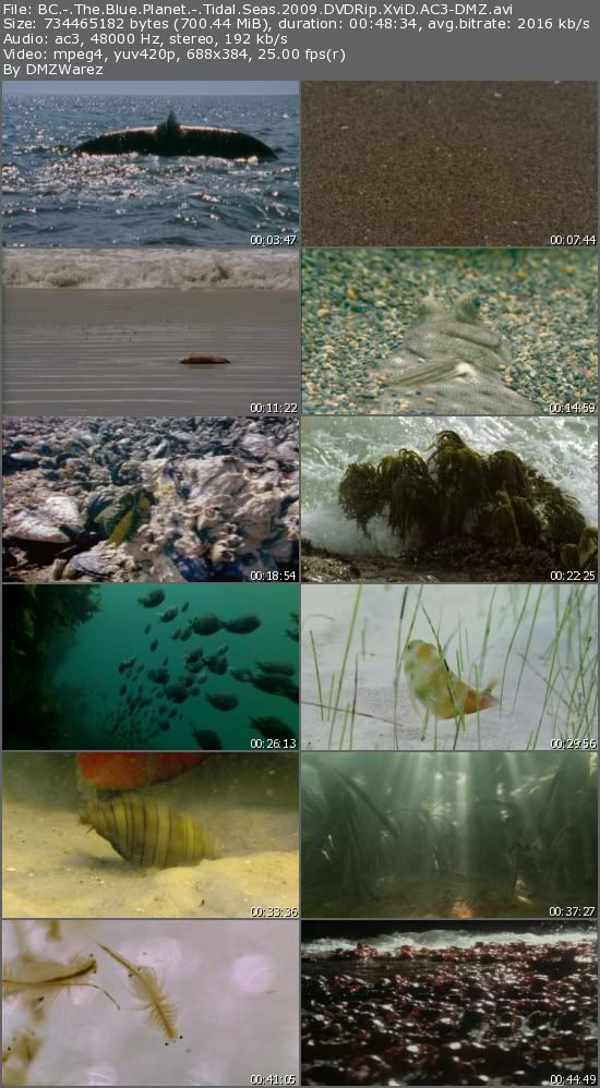 BBC - The Blue Planet - Tidal Seas (2009) DVDRip XviD AC3-DMZ BBC - The Blue Planet - Tidal Seas (2009) DVDRip XviD AC3-DMZ