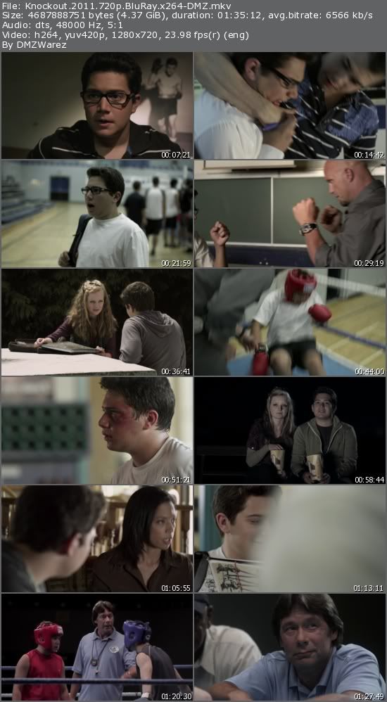 Knockout (2011) 720p BluRay x264-DMZ Knockout (2011) 720p BluRay x264-DMZ