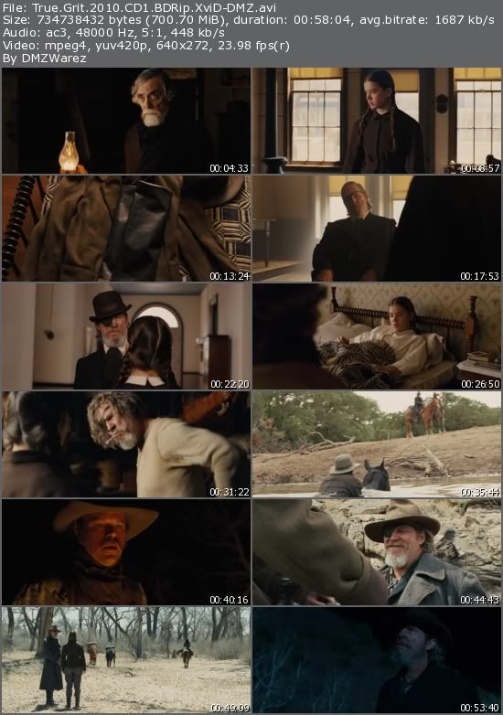 True Grit (2010) BDRip XviD-DMZ True Grit (2010) BDRip XviD-DMZ