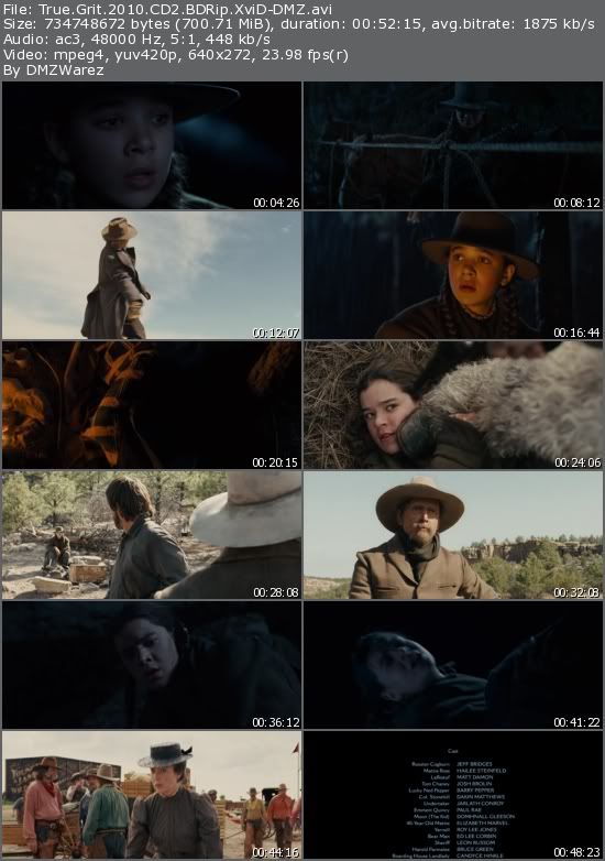 True Grit (2010) BDRip XviD-DMZ True Grit (2010) BDRip XviD-DMZ