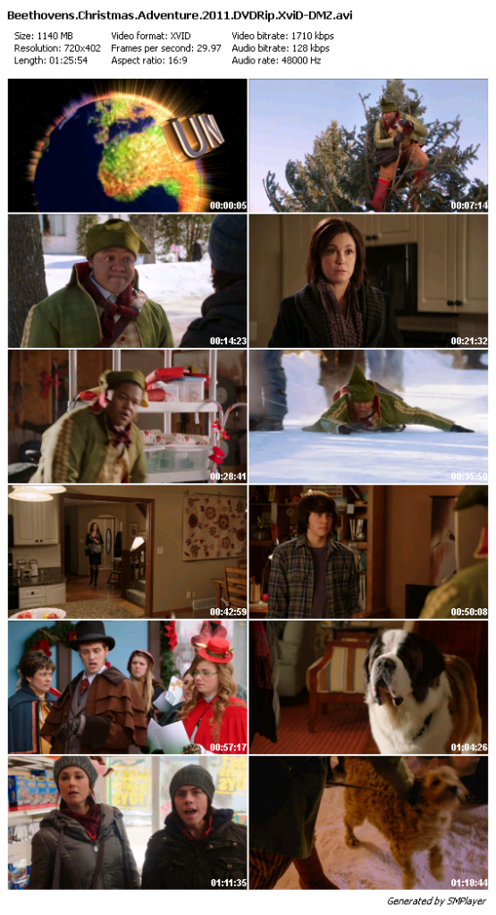 Beethoven's Christmas Adventure (2011) DVDRip XviD-DMZ Beethoven's Christmas Adventure (2011) DVDRip XviD-DMZ