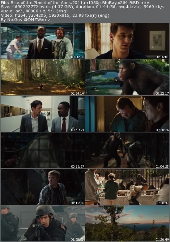 Rise of the Planet of the Apes (2011) m1080p BluRay x264-BiRD Rise of the Planet of the Apes (2011) m1080p BluRay x264-BiRD