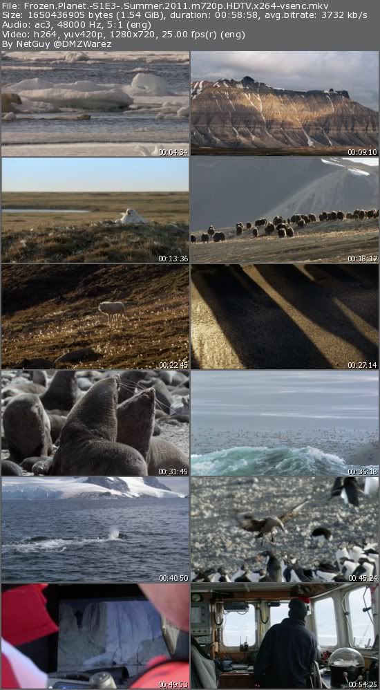 Frozen Planet - S1E3: Summer (2011) m720p HDTV x264-vsenc Frozen Planet - S1E3: Summer (2011) m720p HDTV x264-vsenc