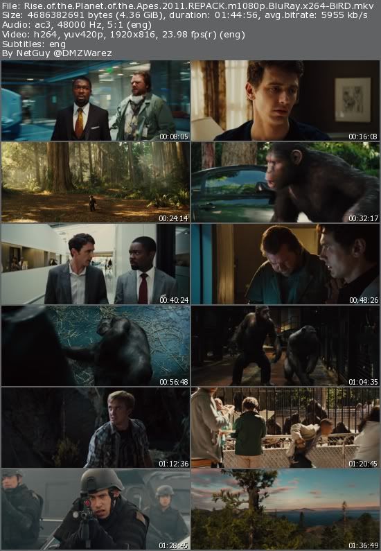Rise of the Planet of the Apes (2011) REPACK m1080p BluRay x264-BiRD Rise of the Planet of the Apes (2011) REPACK m1080p BluRay x264-BiRD
