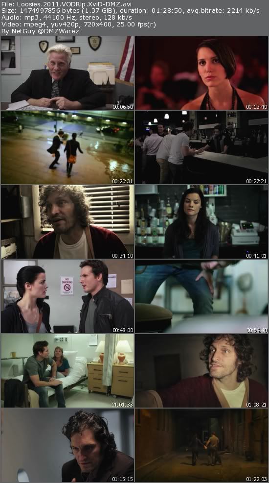 Loosies (2011) VODRip XviD-DMZ Loosies (2011) VODRip XviD-DMZ