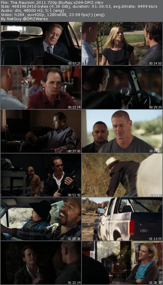 The Reunion (2011) 720p BluRay x264-DMZ The Reunion (2011) 720p BluRay x264-DMZ