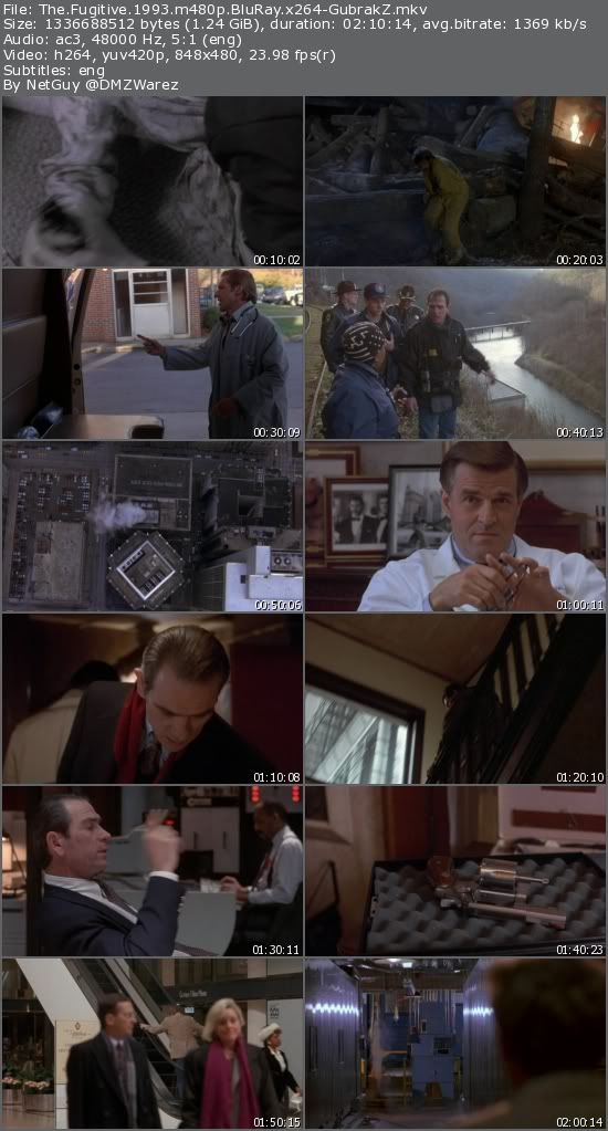 The Fugitive (1993) m480p BluRay x264-GubrakZ The Fugitive (1993) m480p BluRay x264-GubrakZ