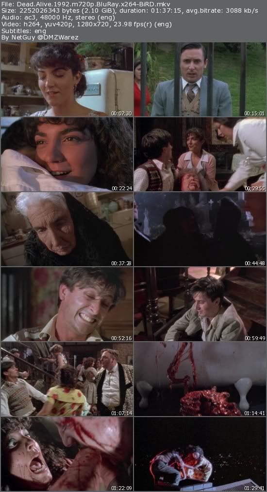 Dead Alive (1992) m720p BluRay x264-BiRD Dead Alive (1992) m720p BluRay x264-BiRD