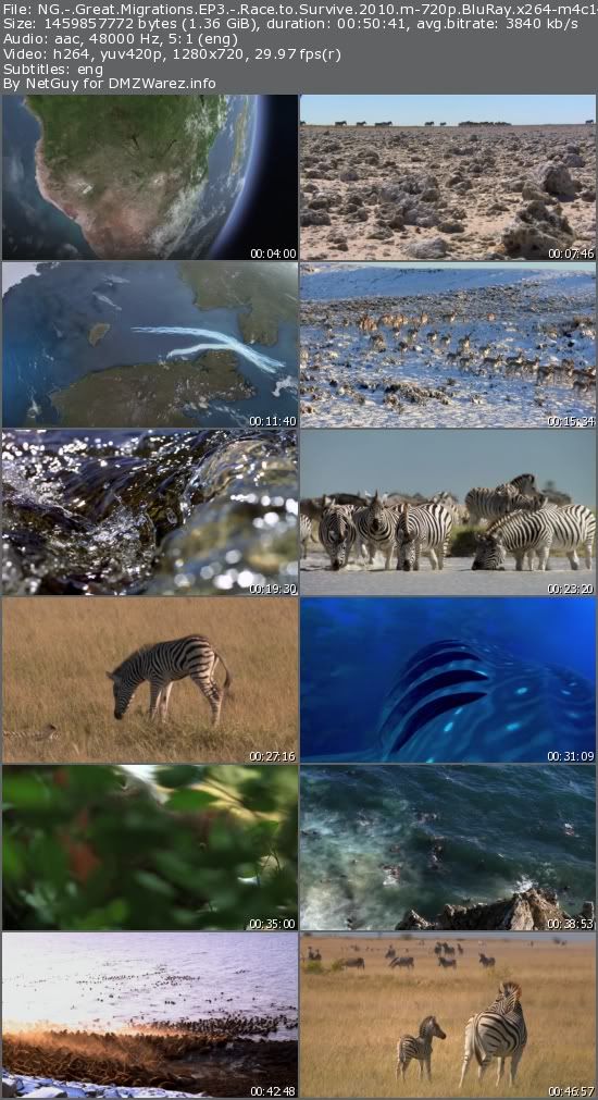 National Geographic - Great Migrations EP3: Race to Survive (2010) m-720p BluRay x264-m4c14k National Geographic - Great Migrations EP3: Race to Survive (2010) m-720p BluRay x264-m4c14k