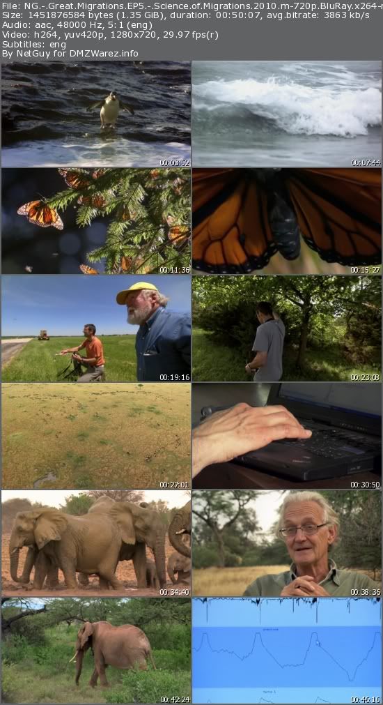 National Geographic - Great Migrations EP5: Science of Migrations (2010) m-720p BluRay x264-m4c14k National Geographic - Great Migrations EP5: Science of Migrations (2010) m-720p BluRay x264-m4c14k