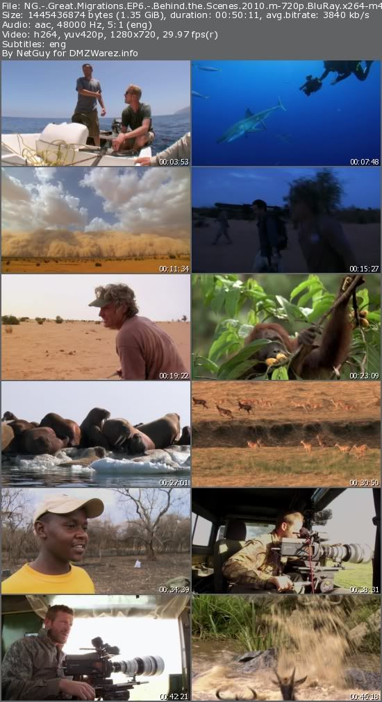 National Geographic - Great Migrations EP6: Behind the Scenes (2010) m-720p BluRay x264-m4c14k National Geographic - Great Migrations EP6: Behind the Scenes (2010) m-720p BluRay x264-m4c14k