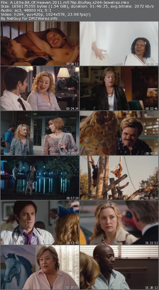 A Little Bit Of Heaven (2011) m576p BluRay x264-Jewelraz A Little Bit Of Heaven (2011) m576p BluRay x264-Jewelraz