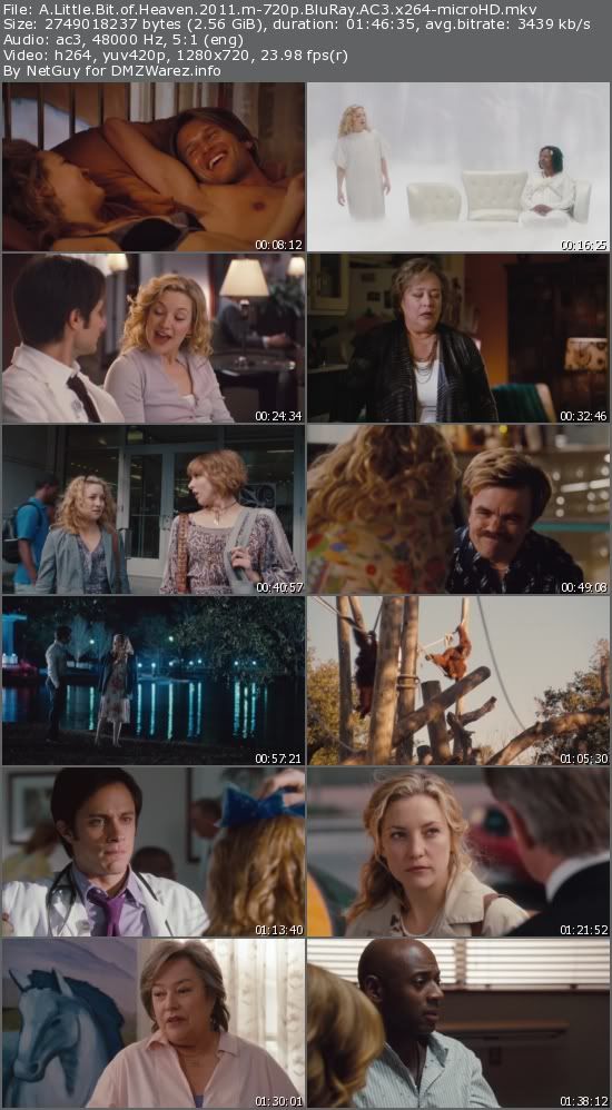 A Little Bit of Heaven (2011) m-720p BluRay AC3 x264-microHD A Little Bit of Heaven (2011) m-720p BluRay AC3 x264-microHD