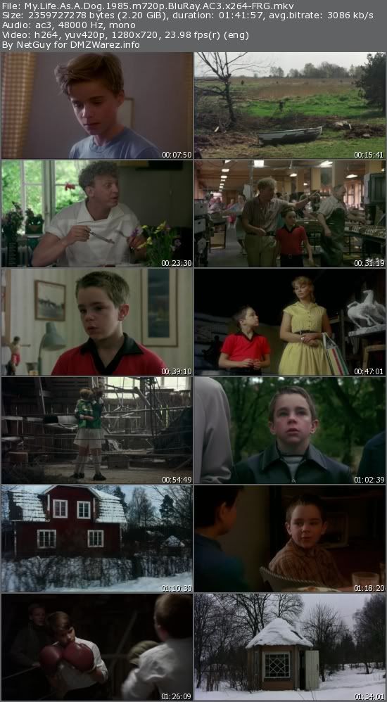 My Life As A Dog (1985) m720p BluRay AC3 x264-FRG My Life As A Dog (1985) m720p BluRay AC3 x264-FRG