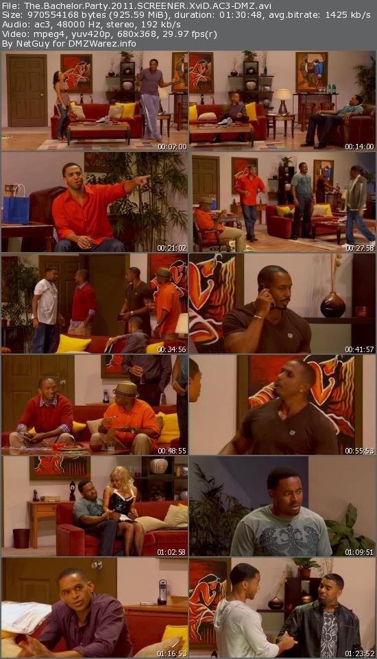 The Bachelor Party (2011) SCREENER XviD AC3-DMZ The Bachelor Party (2011) SCREENER XviD AC3-DMZ