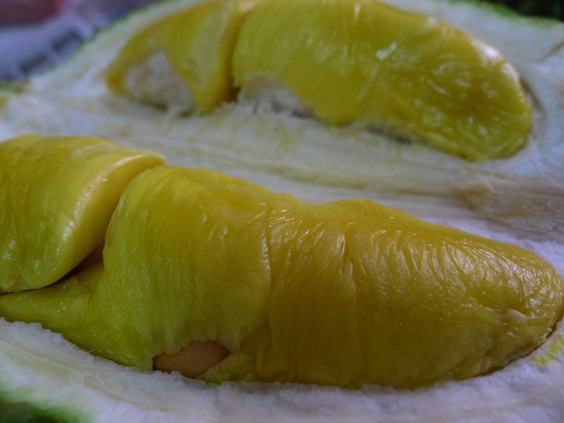 Durian Flesh photo DurianKingofKingsOpen02.jpg