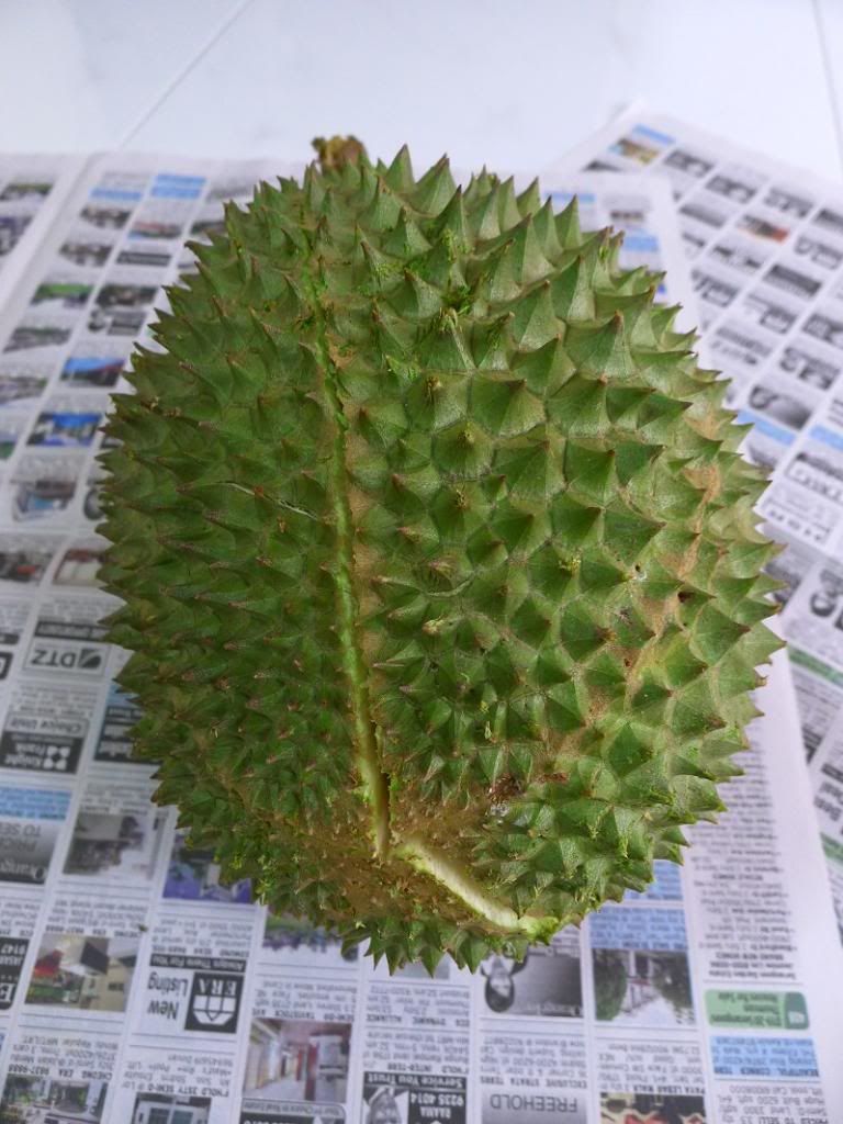 Durian Fruit photo DurianKingofKingsWholeFruit.jpg