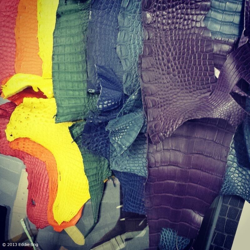 Colourful Croc Skin photo JnsCrocSkin04.jpg