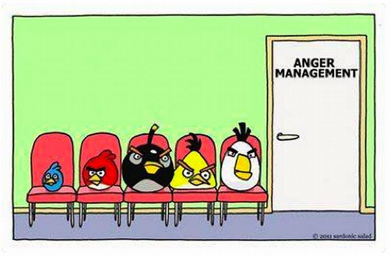 angermanagementbirds.jpg
