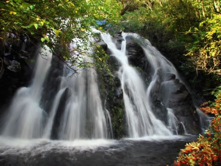 La cascada