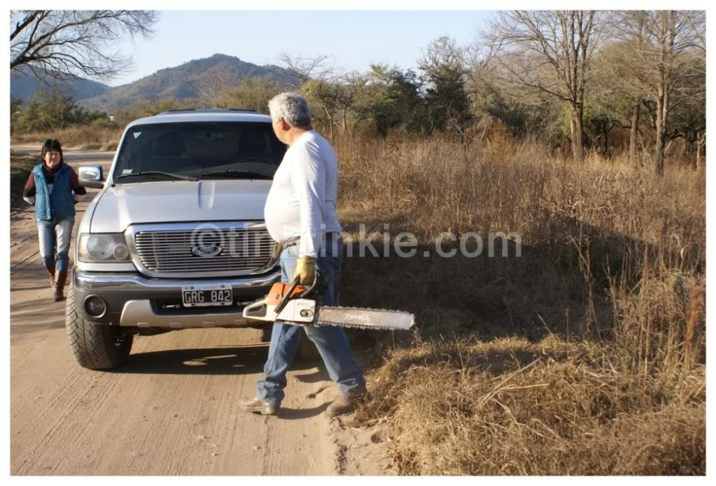 People cutting off trees!