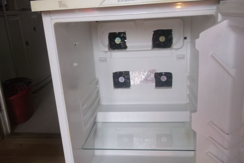From fridge to incubator!? Reptile Forums