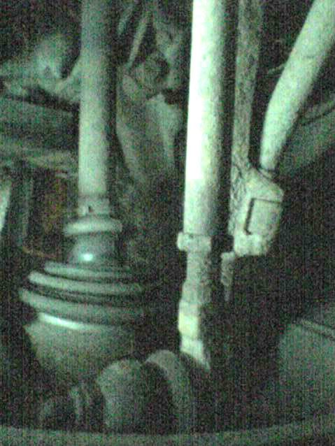 Picture0488.jpg