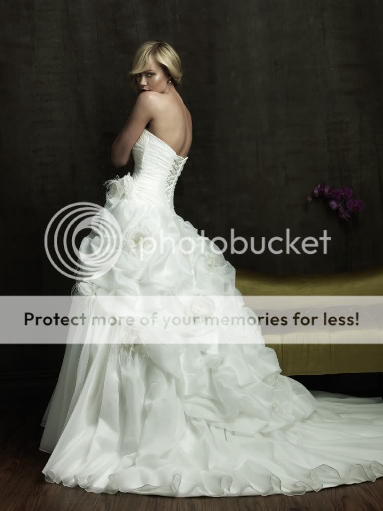   Flowers Strapless Watteau Organza Wedding Dress/Evening Gown  