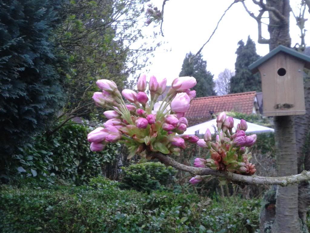 20130426_201805.jpg