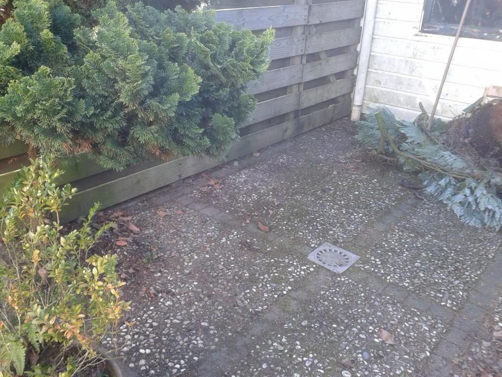 20130222_101507.jpg