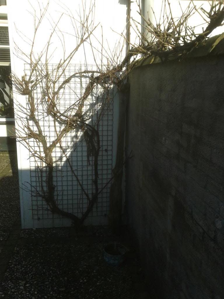 20130222_101527.jpg