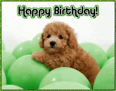 happy_birthday_card_dog_zpsd8b8fb21.gif