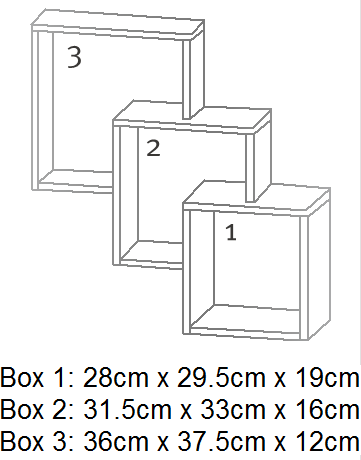 photo FibiDimensions.png