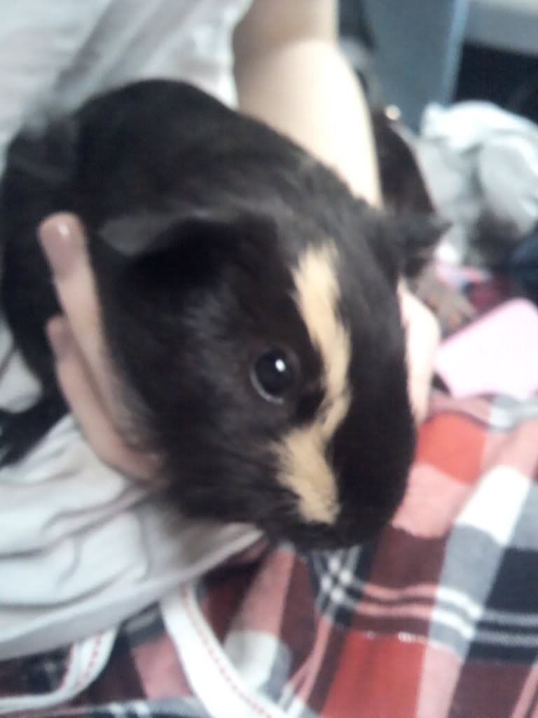 2011-09-17123126.jpg