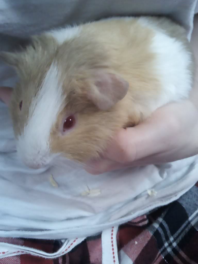2011-09-17123442.jpg